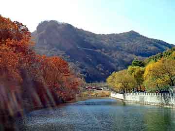 澳门精准正版免费大全14年新，茶风暴